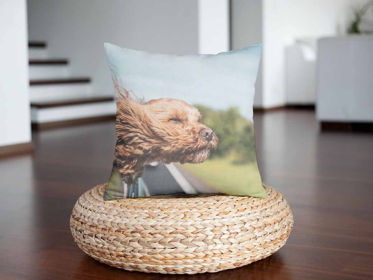 Gesundheitskissen mit Hund im Auto