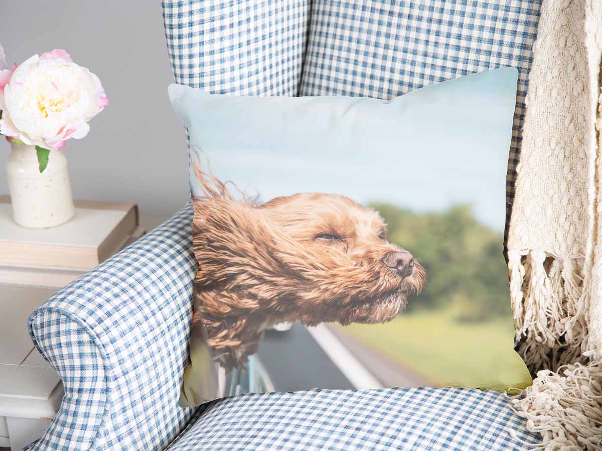 Gesundheitskissen mit Hund im Auto