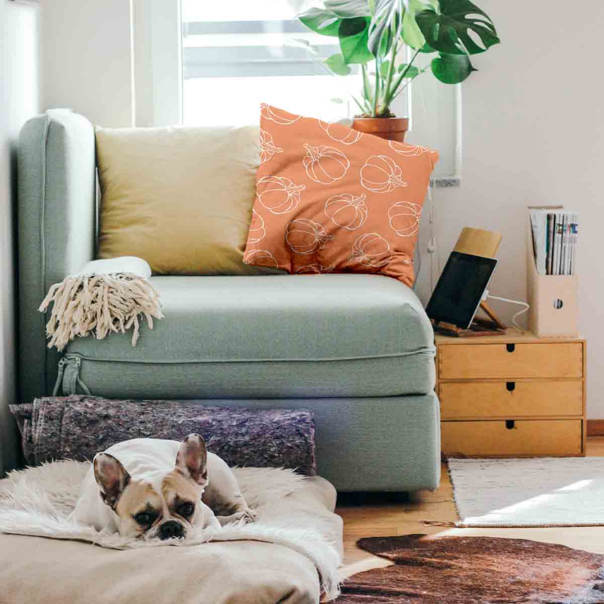 Gesundheitskissen Orange mit Kürbis