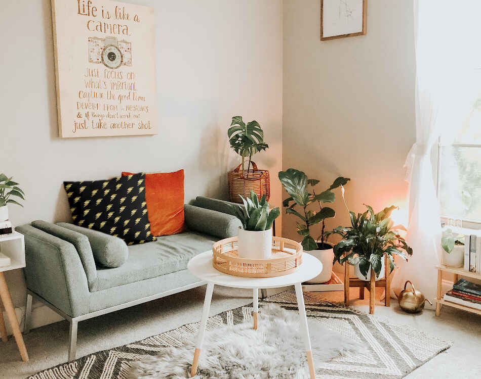 Gesundheitskissen Schwarz mit Harry Blitz