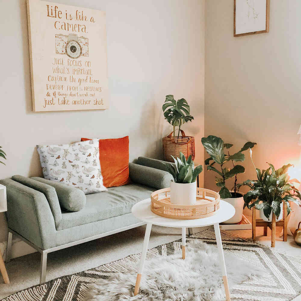 Gesundheitskissen Weiß süße Tiere