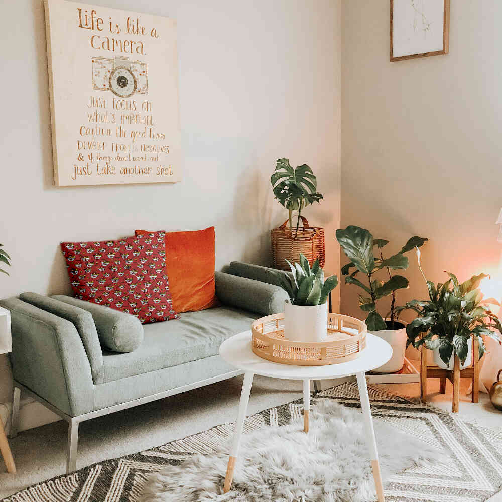 Gesundheitskissen Rot Take-away