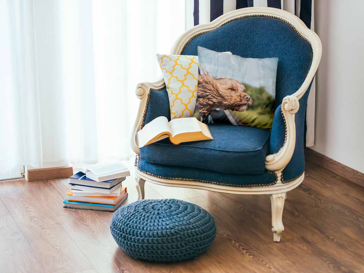 Gesundheitskissen mit Hund im Auto