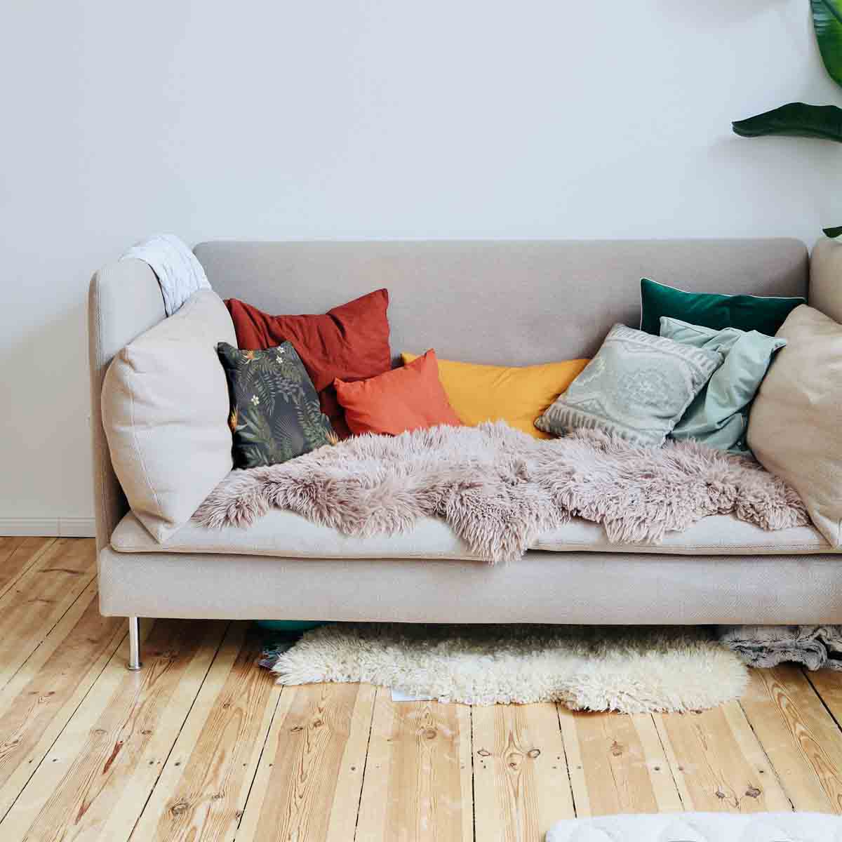 Gesundheitskissen Regenwald